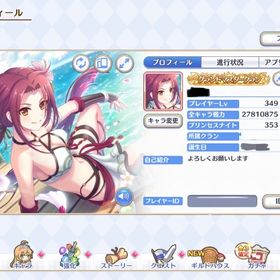 [引退垢]総課金額70万以上現役アカウント | プリンセスコネクト(プリコネR)のアカウントデータ、RMTの販売・買取一覧