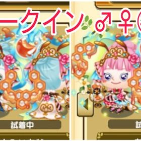 ブランド服 ビークイン男女ペア 右 | 未来家系図 つぐmeのアカウントデータ、RMTの販売・買取一覧