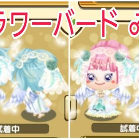 ブランド服 フラワーバード男女ペア | 未来家系図 つぐmeのアカウントデータ、RMTの販売・買取一覧