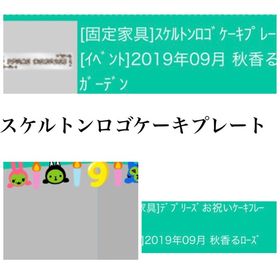 スケルトンロゴケーキプレート＆お祝いケーキフレーム | スペースデブリーズのアカウントデータ、RMTの販売・買取一覧