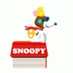 スヌーピーの犬小屋ポッド | スペースデブリーズのアカウントデータ、RMTの販売・買取一覧