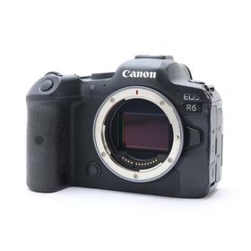 《並品》Canon EOS R6