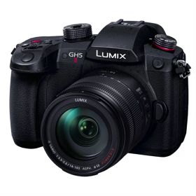Panasonic（パナソニック） LUMIXミラーレス一眼 高倍率ズームレンズキット DC-GH5M2H