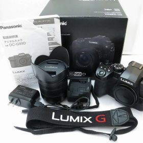 【11/20(木)20時〜全品ポイント10倍！要エントリー！】パナソニック Panasonic ミラーレス一眼（レンズキット） LUMIX DC-G99D/G VARIO 14-140mm/F3.5-5.6 II ASPH./POWER O.I.S. H-FSA14140 【中古】