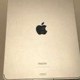 iPad MM6V3J/A APPLE