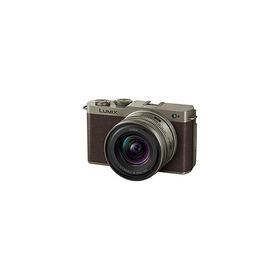 Panasonic(パナソニック) LUMIX S9 広角ズームレンズキット ミラーレス一眼カメラ チタンゴールド DC-S9N-N ［ズームレンズ］ [代引不可]