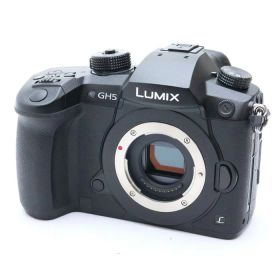 【中古】 《美品》 Panasonic LUMIX DC-GH5 ボディ 【SDカードスロットドア部品交換/左三角環取付部分解調整/各部点検済】 [ デジタルカメラ ]