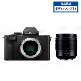 パナソニック LUMIX DC-G100D ボディ ブラック + 5倍(12-60mm)ズームレンズセット LUMIX G VARIO 12-60mm/F3.5-5.6 ASPH./POWER O.I.S. ルミックス Panasonic