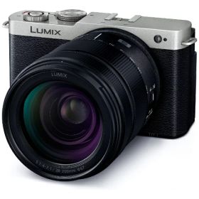 Panasonic｜パナソニック LUMIX S9 高倍率ズームレンズキット ミラーレス一眼カメラ ダークシルバー DC-S9H-S [ズームレンズ]