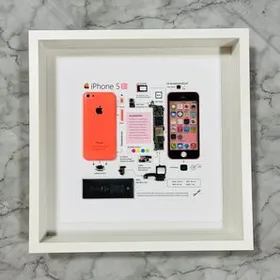 【サービス特価】iPhone 5C ピンク 標本アート ボックスフレーム仕様(スクエアL)