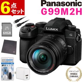 (SD・ケーブル等6点セット)パナソニック ルミックス デジタル一眼カメラ G99M2H 14-140キット ミラーレス一眼カメラ Panasonic LUMIX DC-G99M2H レンズキット 手ブレ補正 2030万画素 デジタルカメラ 写真 動画 撮影 高速AF タッチモニター（デジタルライフ）