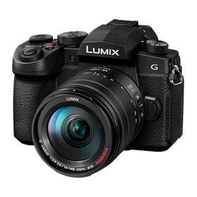 パナソニック (Panasonic) ミラーレス一眼カメラ LIMIX 高倍率ズームレンズキット DC-G99M2H