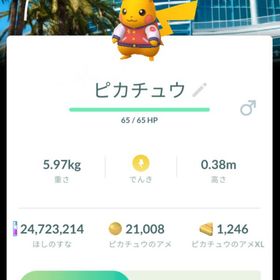 【アナハイム背景色違い✨️】スタジャン ピカチュウ トレード | ポケモンGOのアカウントデータ、RMTの販売・買取一覧