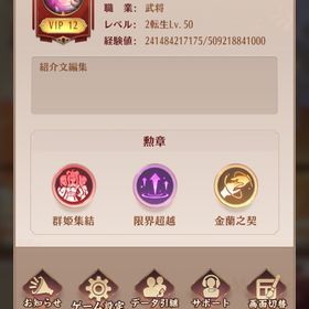 2017年代 | 放置少女のアカウントデータ、RMTの販売・買取一覧