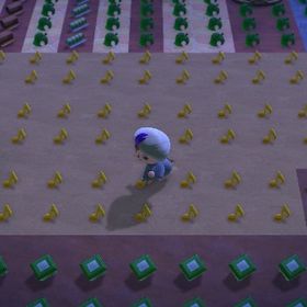 9月🎄限定取り放題！素材、博物館コンプ、お金、レシピコンプ島、植物、家具3島、九島同時利用可能 | あつまれ どうぶつの森(あつ森)のアイテム、RMTの販売・買取一覧