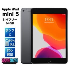 SIMフリー Apple iPad mini 第5世代 64GB スペースグレイ ACアダプターとケーブル付き