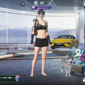 6667752301 必ず確認してください 値下げ可 | PUBG MOBILEのアカウントデータ、RMTの販売・買取一覧