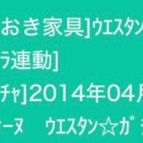 ウエスタンロデオマシーン | スペースデブリーズのアイテム、RMTの販売・買取一覧