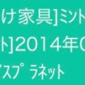 ミントの壁飾り | スペースデブリーズのアイテム、RMTの販売・買取一覧