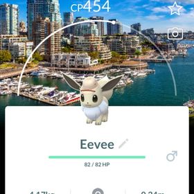 🥇非対面トレード🥇色違いイーブイ サファリバンクーバー背景 | ポケモンGOのトレード(モンスター)、RMTの販売・買取一覧