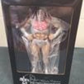 ユニコーンヘッドロビンマスク CCP