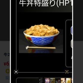 牛丼1億2600で😊 | 単車の虎(単虎)のアカウントデータ、RMTの販売・買取一覧