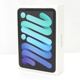 未使用品｜Apple iPad mini 8.3インチ Wi-Fi 128GB 2024年秋モデル MXN63J/A [スペースグレイ] HA03-P520-2G10