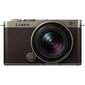 Panasonic パナソニック DC-S9N-N(チタンゴールド) LUMIX S9 広角ズームレンズキット