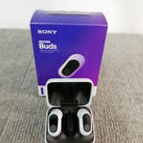 ノイズキャンセリングイヤホン WF-G700N SONY