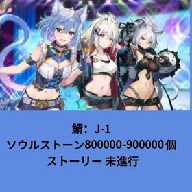 鯖：J-1 ソウルストーン800000-900000個 ストーリー 未進行 | エバーテイル(Evertale)のアカウントデータ、RMTの販売・買取一覧
