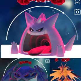 8228【PTC】砂100万！色違いキョダイマックスゲンガー、通常キョダイマックスゲンガー7匹 他 | ポケモンGOのアカウントデータ、RMTの販売・買取一覧