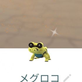 【非対面トレード】色違いメグロコ | ポケモンGOのアカウントデータ、RMTの販売・買取一覧