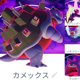 8693【PTC】色違いキョダイマックス カメックス スペシャル背景 他 | ポケモンGOのアカウントデータ、RMTの販売・買取一覧