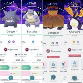 《ミニPTCートレード2万星の砂》✨色違いキョダイマックス・マックスフィナーレ背景 | ポケモンGOのアカウントデータ、RMTの販売・買取一覧