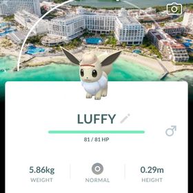 🔥✨色違いサファリ帽イーブイ（メキシコ：カンクン）トレード | ポケモンGOのアカウントデータ、RMTの販売・買取一覧