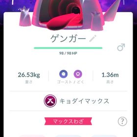 国産 色違い ゲンガー マックスフィナーレ背景 | ポケモンGOのアカウントデータ、RMTの販売・買取一覧