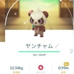 8780【PTC】国産！色違いヤンチャム♀ XXL 海外産色違いココガラ21匹 他 | ポケモンGOのアカウントデータ、RMTの販売・買取一覧