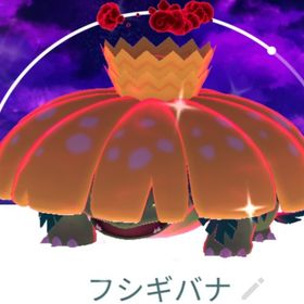 7809【PTC】色違いキョダイマックスフシギバナ スペシャル背景、色違いイーブイ51匹 | ポケモンGOのアカウントデータ、RMTの販売・買取一覧