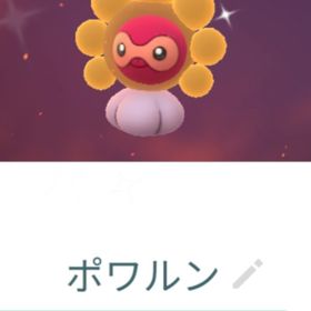 色違い晴れポワルン トレード | ポケモンGOのアカウントデータ、RMTの販売・買取一覧