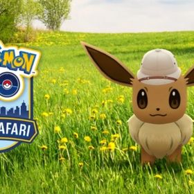 シティサファリ 12/13、12/14 | ポケモンGOのアカウントデータ、RMTの販売・買取一覧