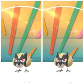 40⭐️PTC⭐️東京産⭐️色違い背景ココガラ2匹 | ポケモンGOのアカウントデータ、RMTの販売・買取一覧