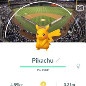 【PTC - トレード】 ✨色違いピカチュウ『 テキサス背景 』 | ポケモンGOのアカウントデータ、RMTの販売・買取一覧