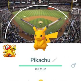 《トレード- PTC アカウント》✨色違いピカチュウ•テキサス・レンジャーズ背景 | ポケモンGOのアカウントデータ、RMTの販売・買取一覧