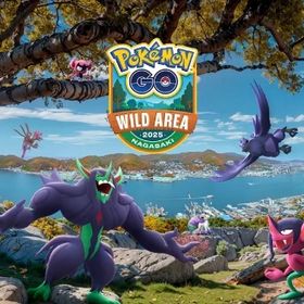 『最安』11/8.9ワイルドエリア長崎レイド代行10戦500円〜 | ポケモンGOの代行、RMTの販売・買取一覧