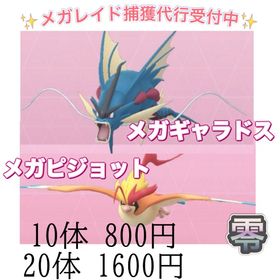 【✨】 メガレイド代行 ☆ギャラドス ☆ピジョット | ポケモンGOの代行、RMTの販売・買取一覧