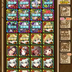 引退アカウント | サモンズボードのアカウントデータ、RMTの販売・買取一覧