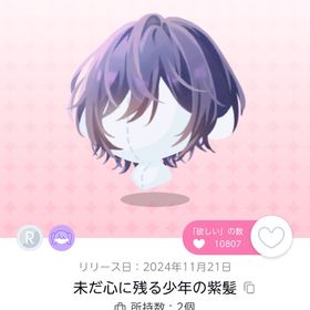 未だ心に残る少年の紫髪 | ポケコロツイン(ポケツイ)のアイテム、RMTの販売・買取一覧