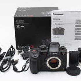 10105ショット!! 新品級 Panasonic DC-GH5S ボディ 箱付き！付属品多数 No1