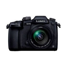 中古 1年保証 美品 Panasonic LUMIX GH5 標準ズームレンズキット [DC-GH5M-K]