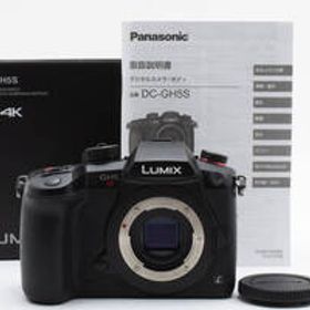 22605ショット!! 良品 Panasonic DC-GH5S ボディ 箱付き 付属品多数 No2